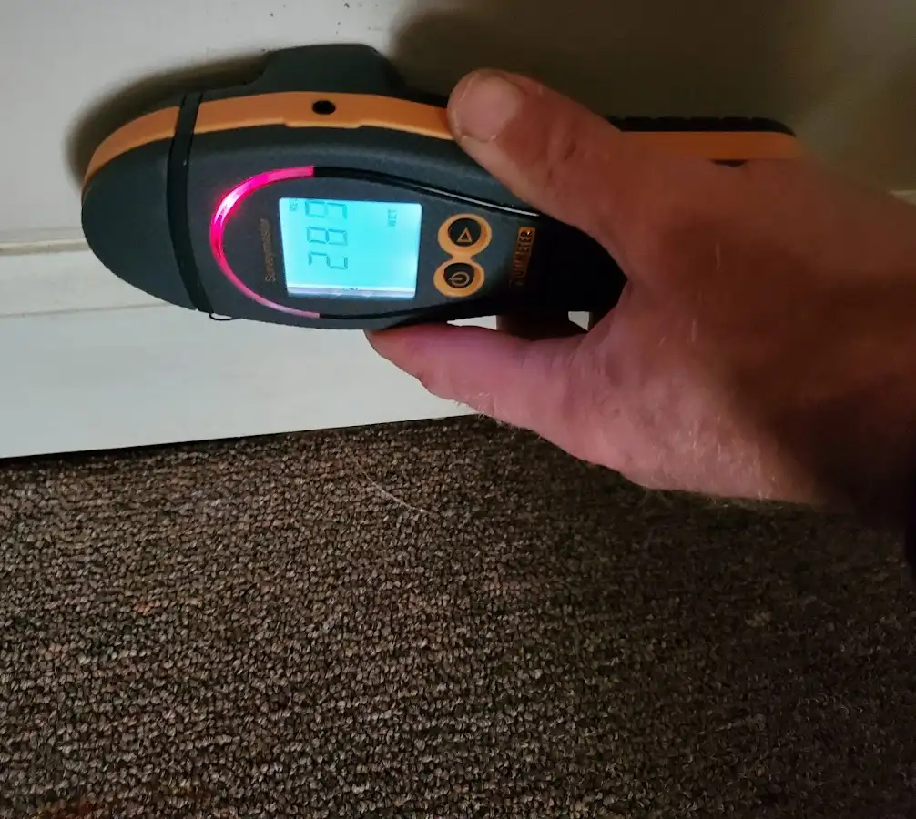 Moisture detection at baseboard during Sewage Cleanup & Sanitation in McCalla
